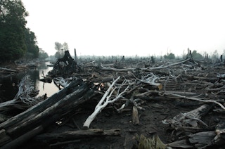Burnt peatlands