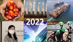 What are the sustainability risks ahead for business sectors in 2022?
