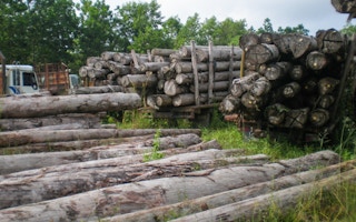 Log yard for illegal logging