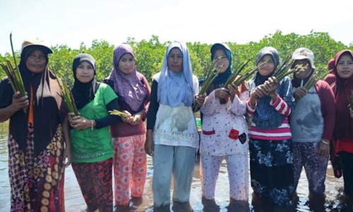 Indonesia’s Womangrove collective recovers the coast from shrimp farms