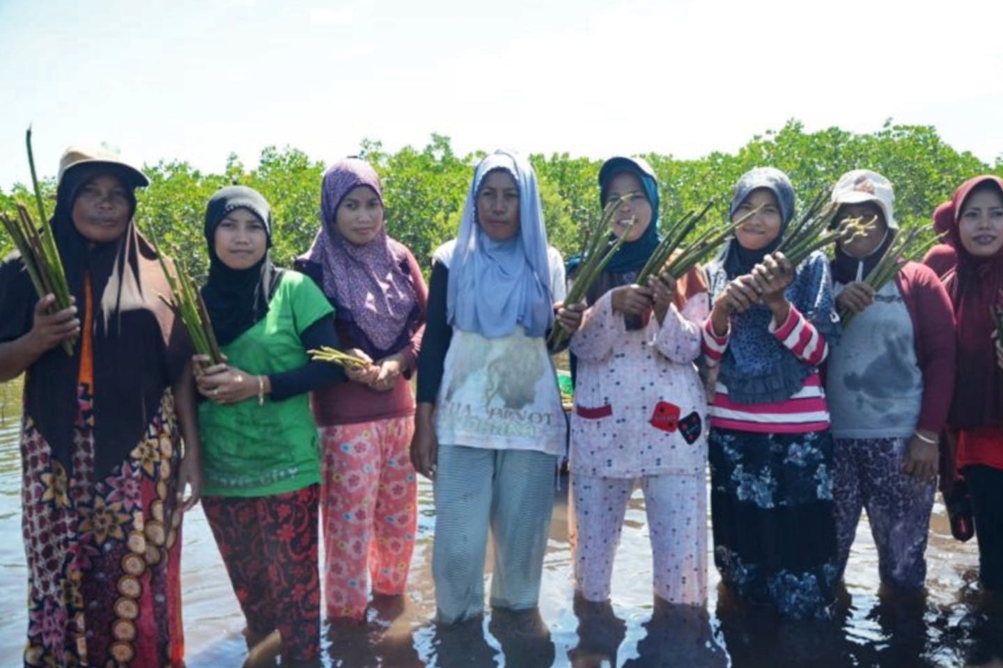 Womangrove Indonesia