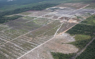 Deforestation of peatland