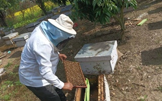 Beekeeper Chitra Bhan Khatri