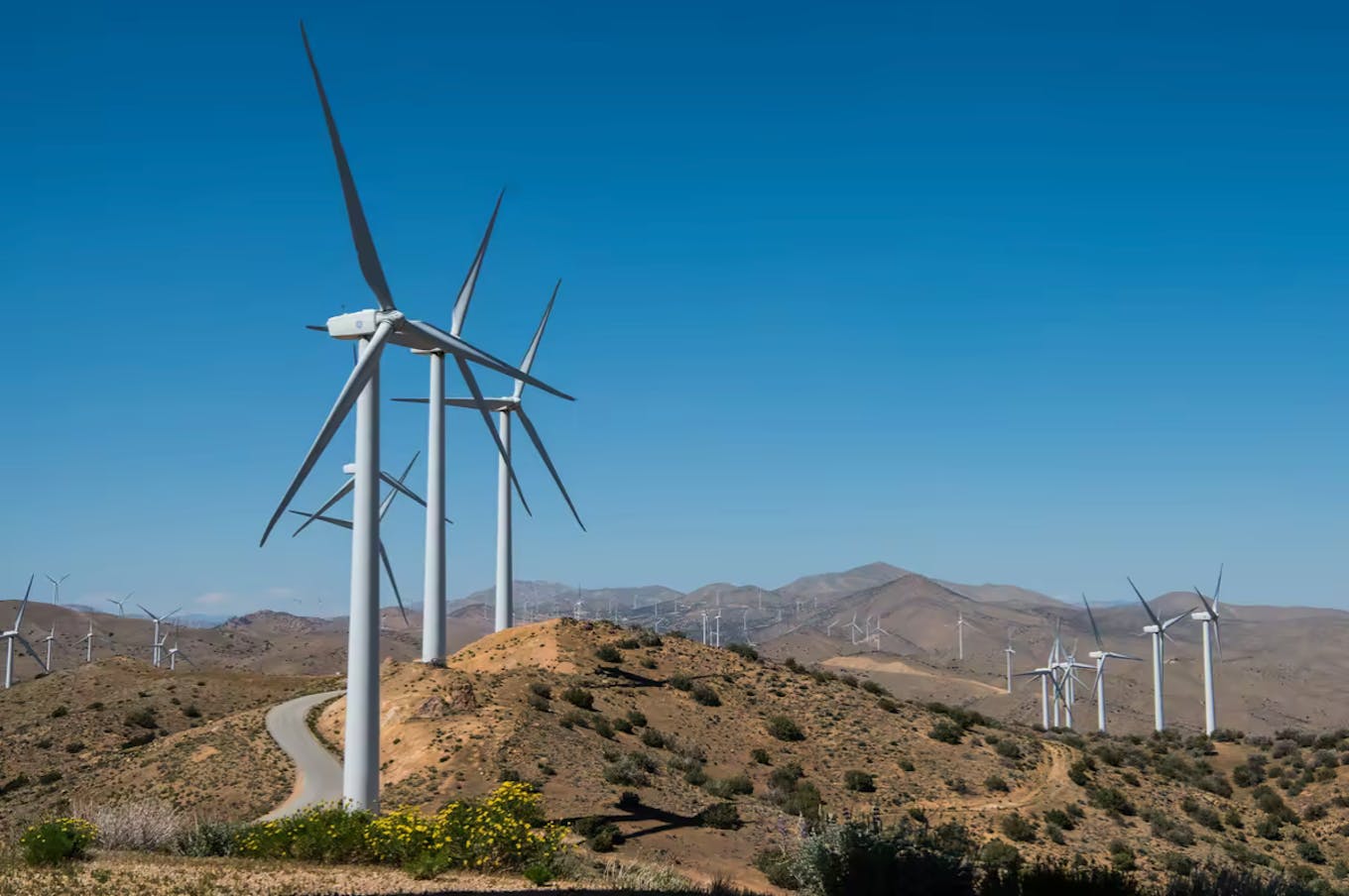 Pine Tree Wind Farm near Tehachapi, California