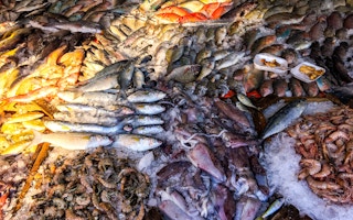fish market in egypt