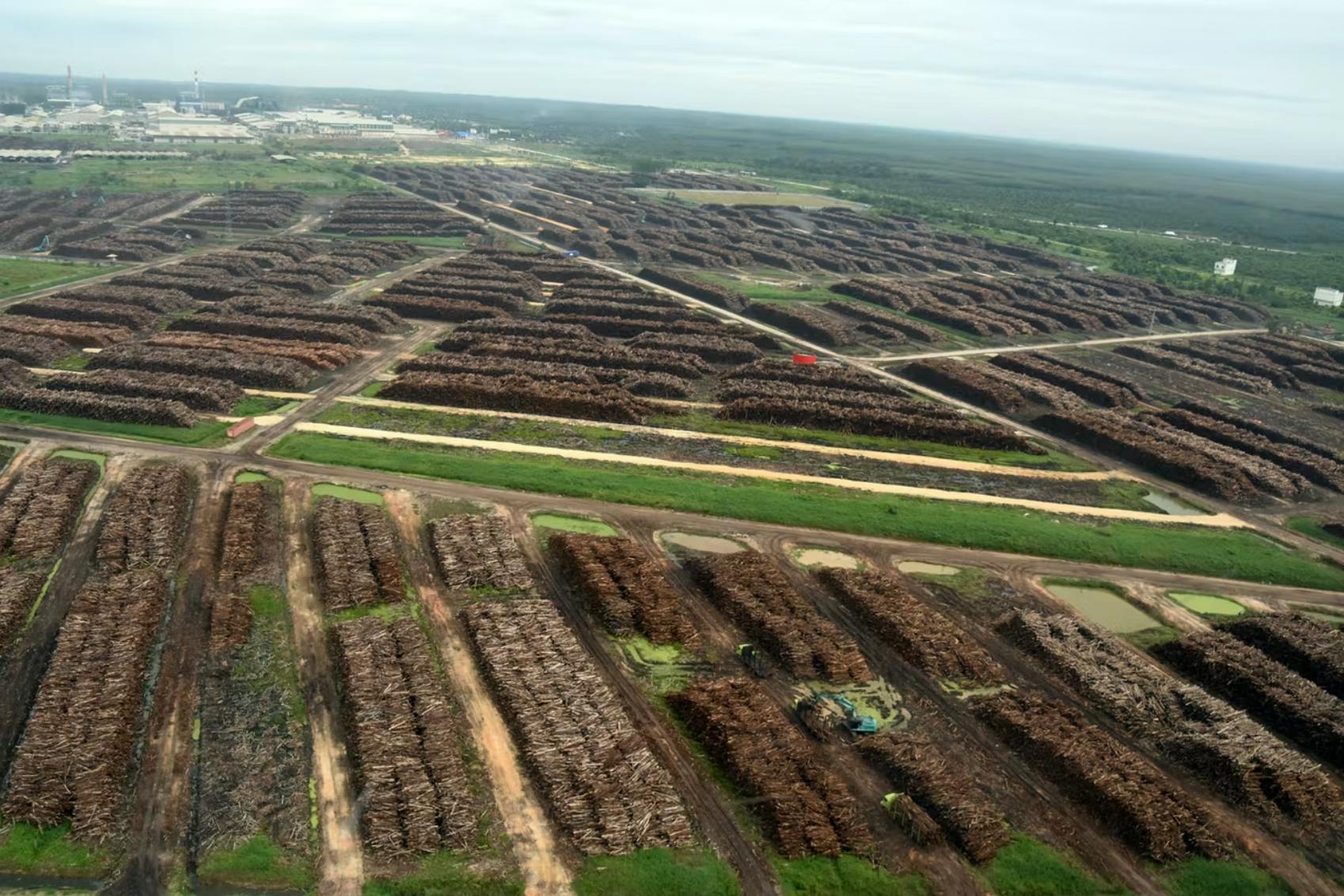 Asia Pulp and Paper's Indah Kiat Perawang Mill in Riau province, Sumatra