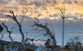 A wind farm at sunrise in Millicent, South Australia.
