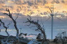 Elections showed Australia’s appetite for climate action. What levers can the new government pull?