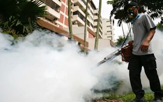 Singapore_Fumigation_Dengue