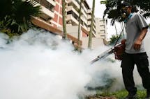 Dengue in Southeast Asia: How our warming planet will change the future of 'breakbone fever'