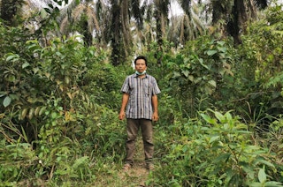 An Indonesian smallholder farmer