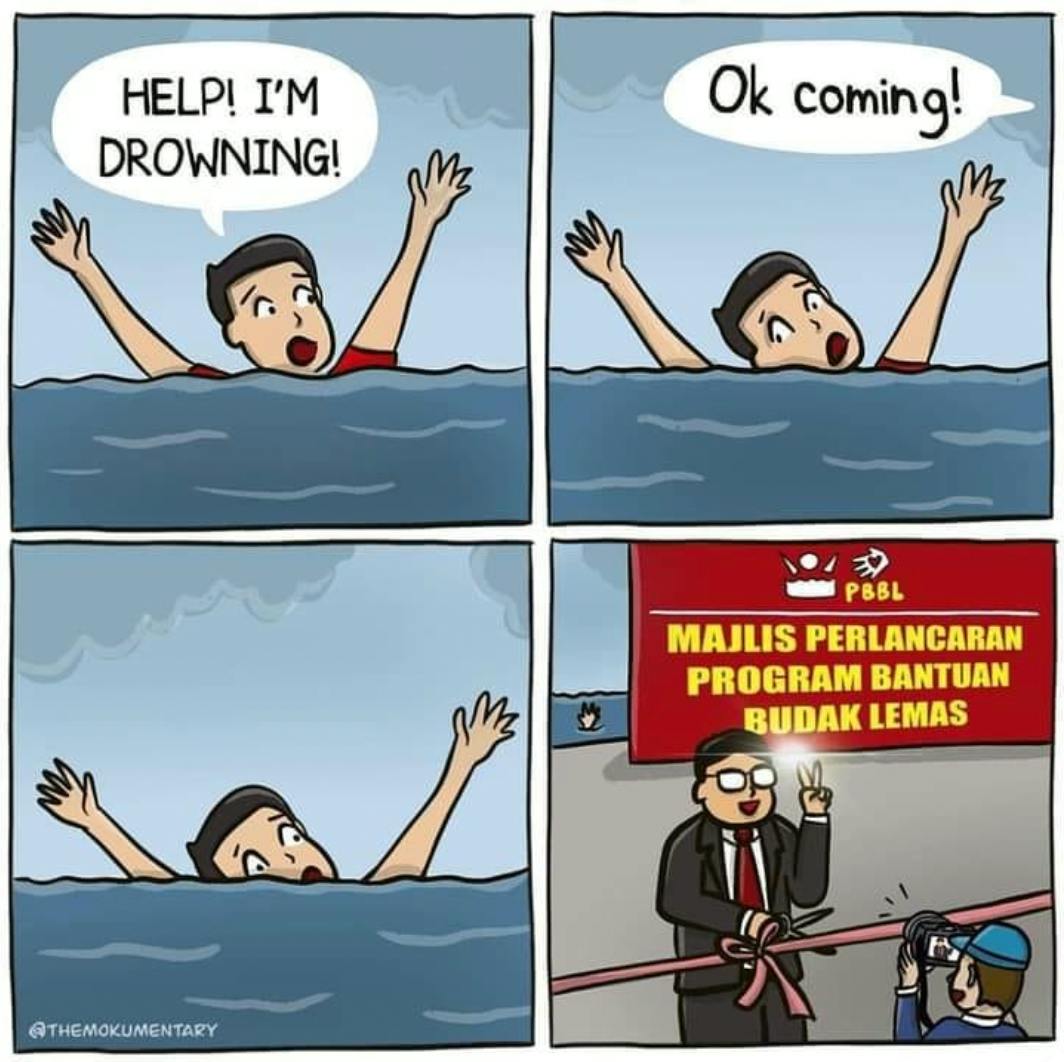 Cartoon on politicians exploiting flooding to their advantage