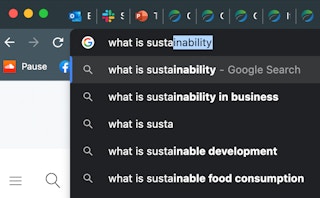 What is sustainability? Search engine