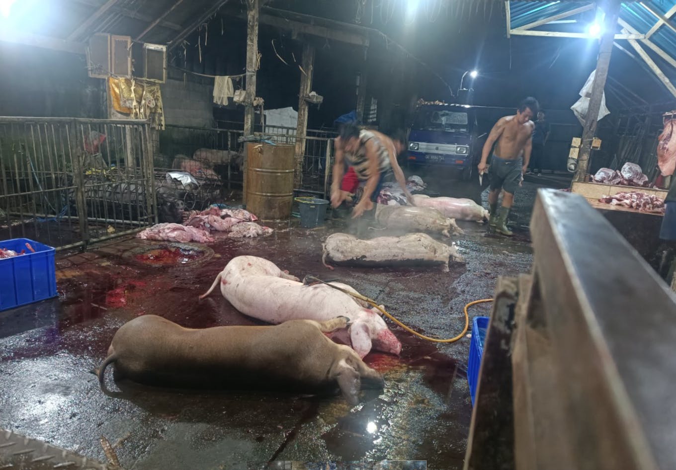 Investment into abattoirs in Asia has largely been neglected, because it is considered unappealing to funders.