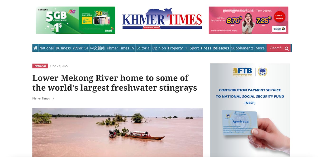Khmer Times_stingray story