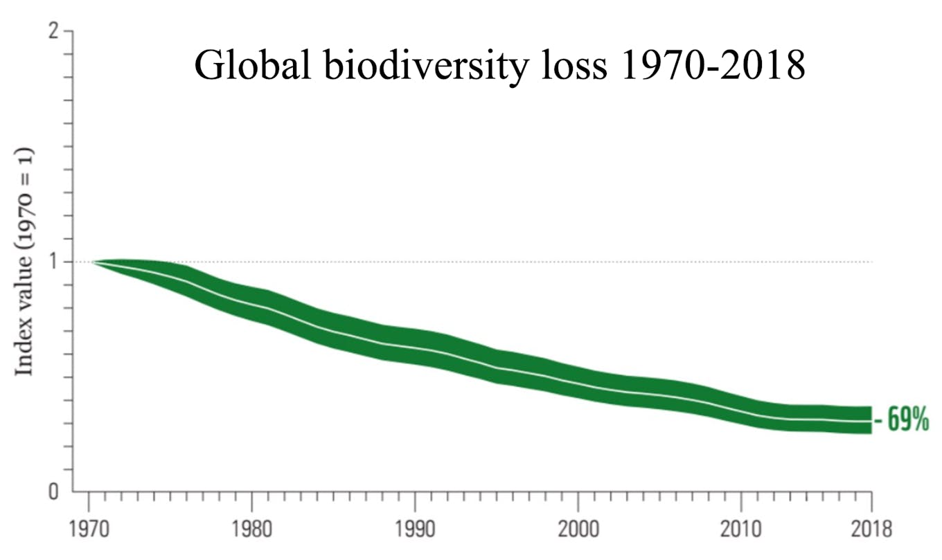 Global biodiversity loss 1970-2018
