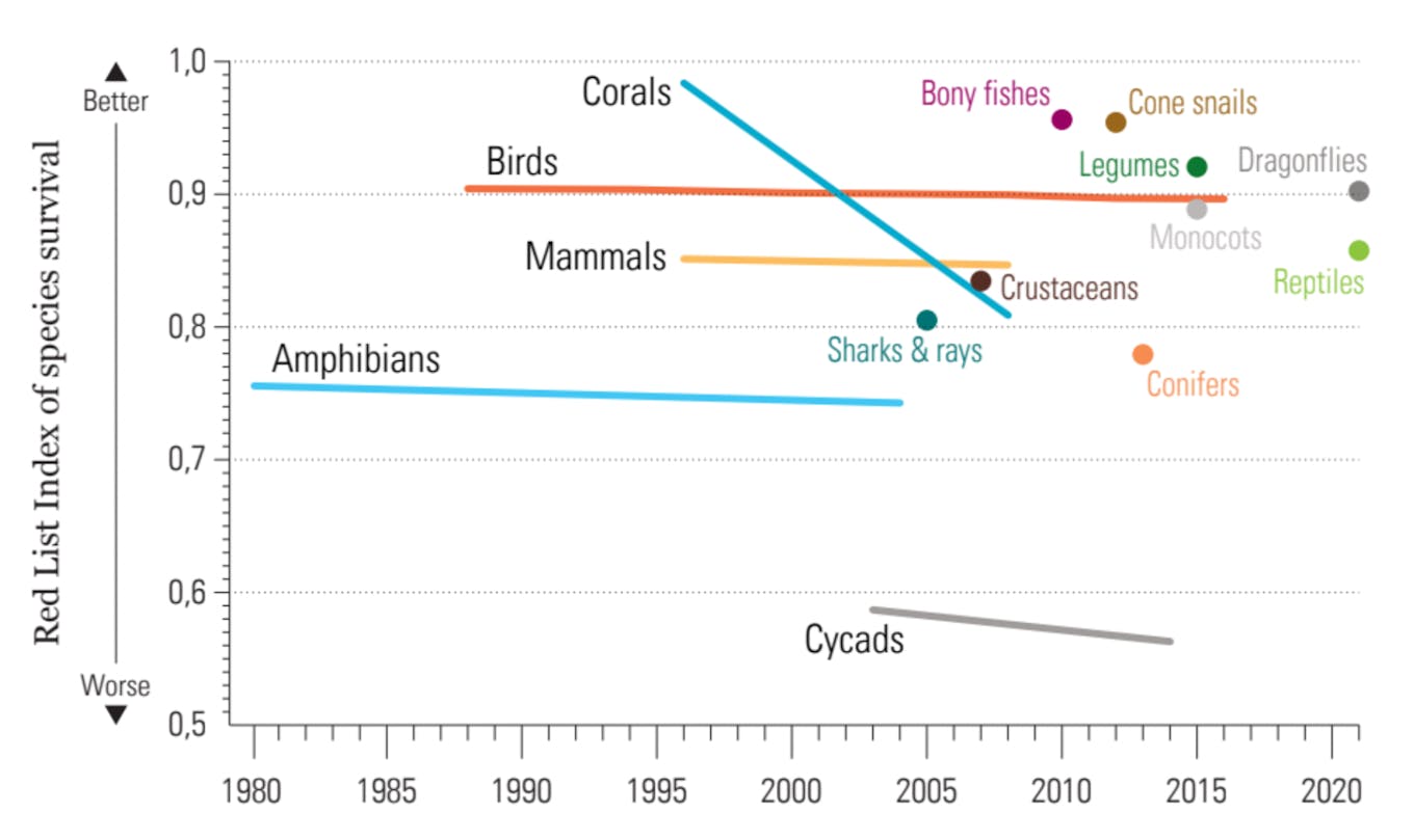Corals show the steepest decline of any species type. Source: Living Planet 2022