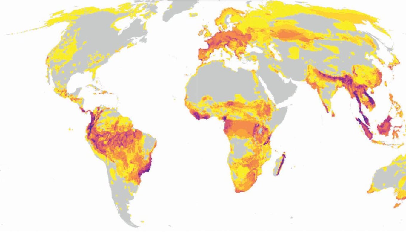 Global Threat Hotspots for Terrestrial Invertebrates