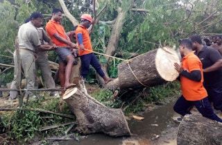 Men chopping up fallen logs