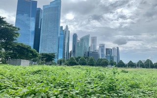 Singapore's CBD, city and greenery