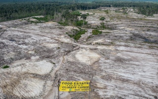 A banner reading “Food Estate Feeding Climate Crisis” is unfurled in a forested are cleared for the Ministry of Defence's Food Estate project in Gunung Mas, Central Kalimantan on 10 November 2022