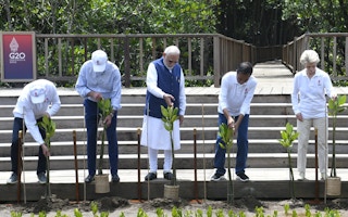 Indian Prime Minister Narendra Modi with other G20 leaders planting mangrove saplings