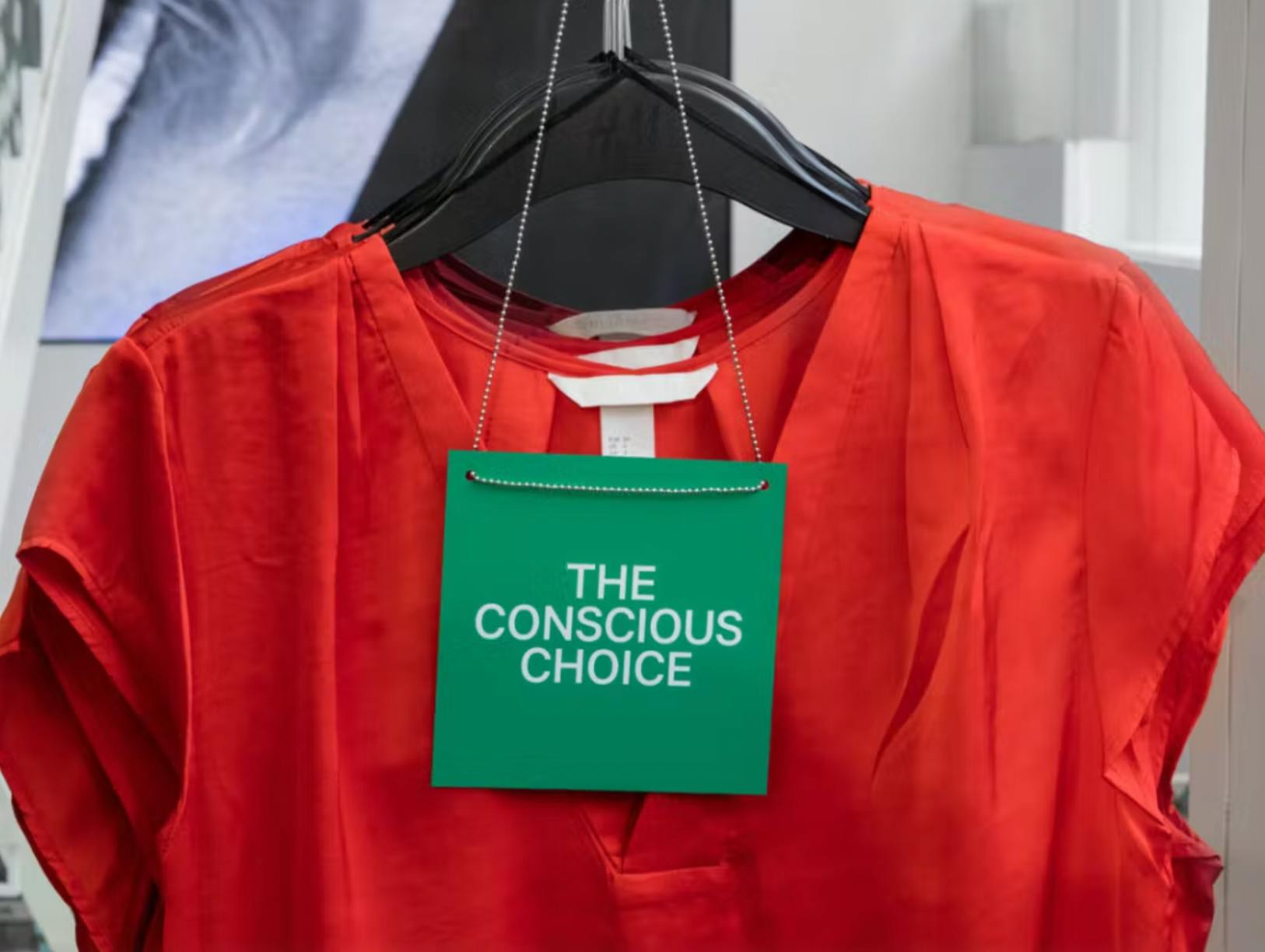 Swedish clothing brand H&M was sued twice in 2022 for greenwashing