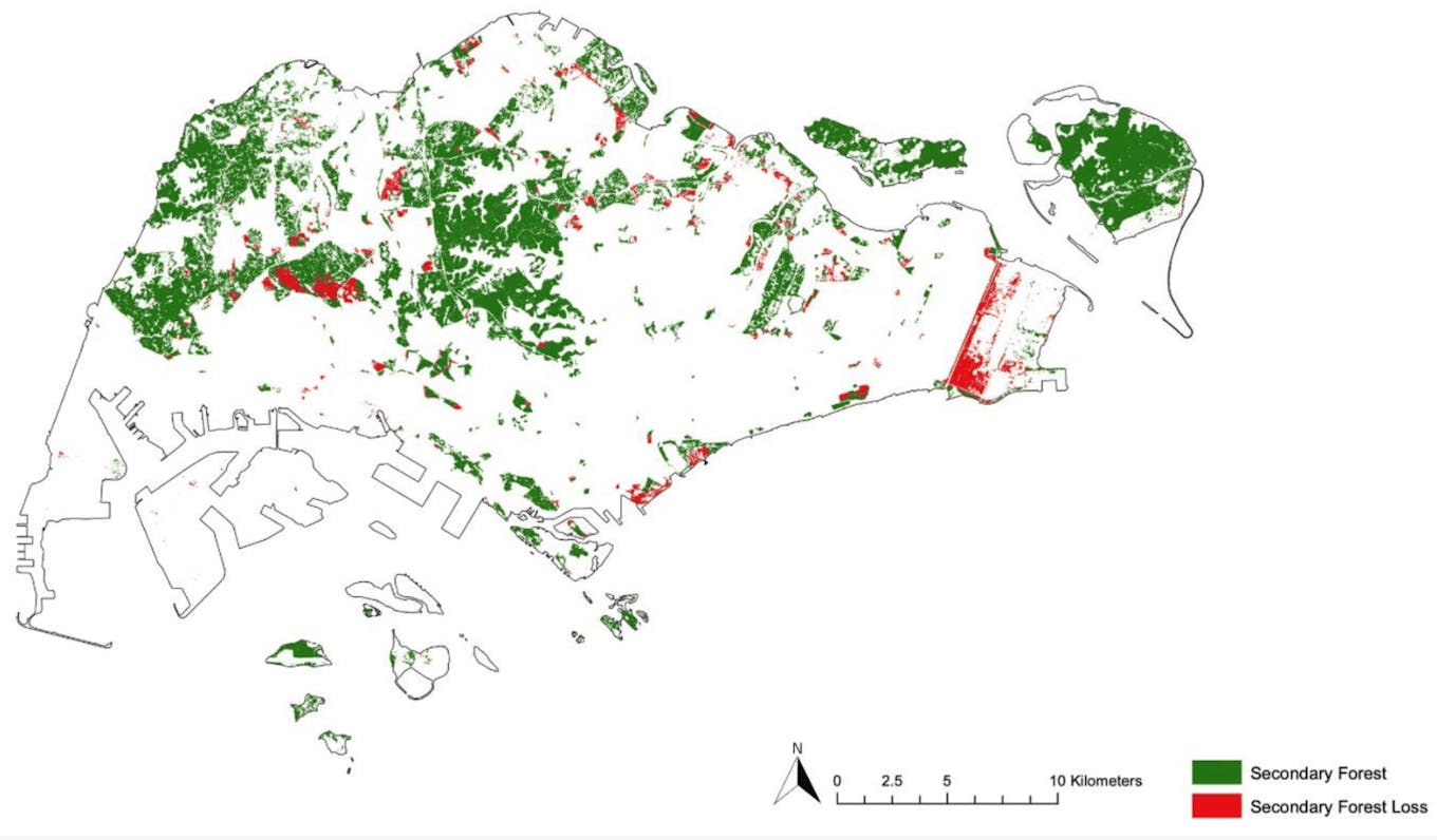 Changes in secondary forests in Singapore from 2011 to 2021, based on NDVI analysis and satellite imagery observation.