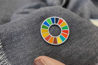 The ubiquitous SDG pin.