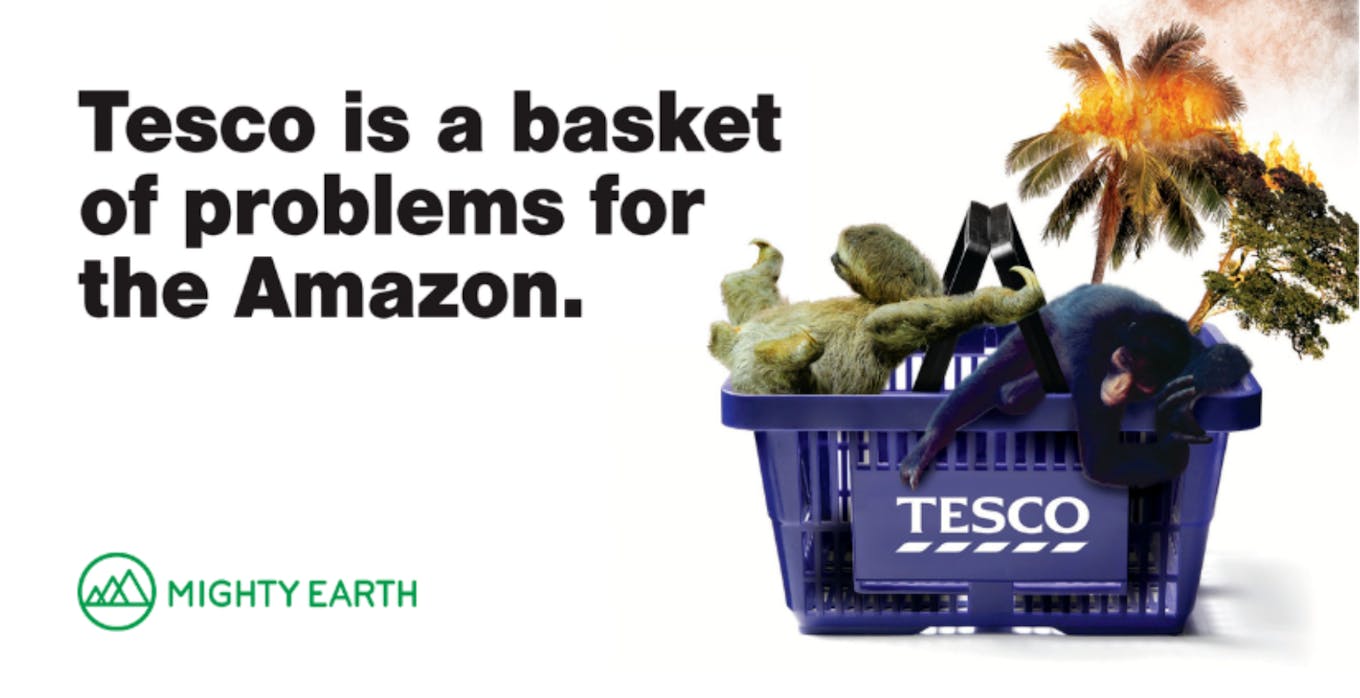 Mighty Earth campaign against Tesco