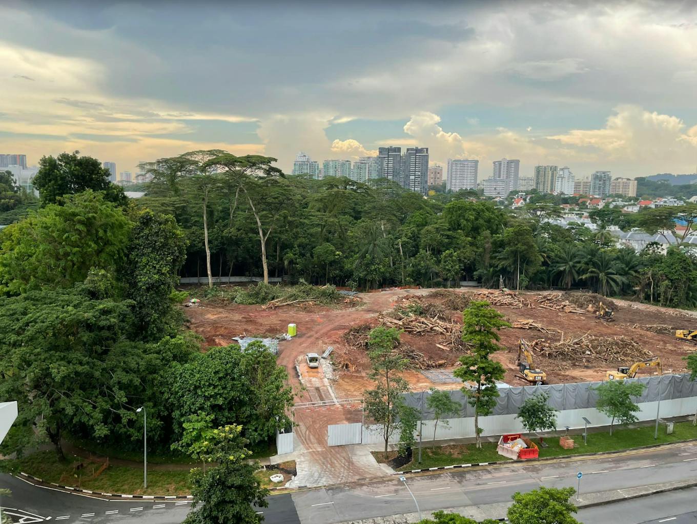 The clearing of Dover forest. The secondary forest, which has regrown over abandoned plantations, orchards and rural villages, had been earmarked for residential development since 2003 as the Ulu Pandan estate site. Image: