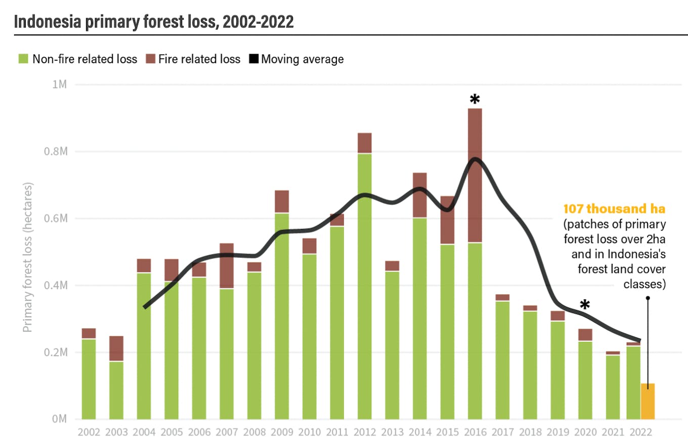 Forest loss in Indonesia over the years