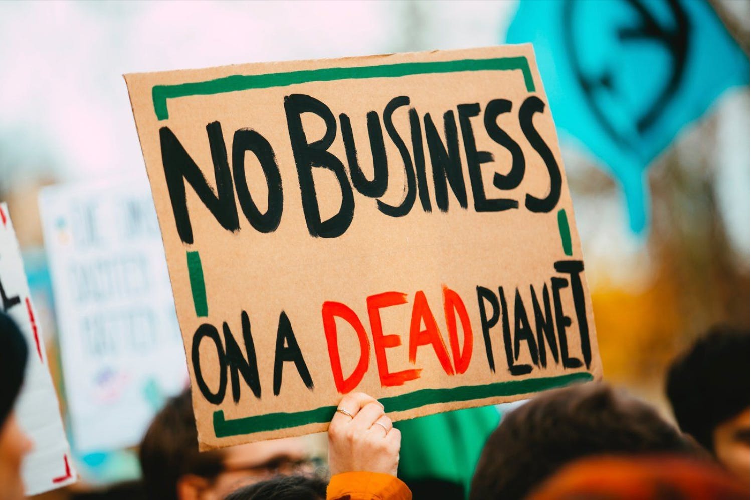 Management consulting has finally found its climate mojo. Image: Markus Spiske via Unsplash