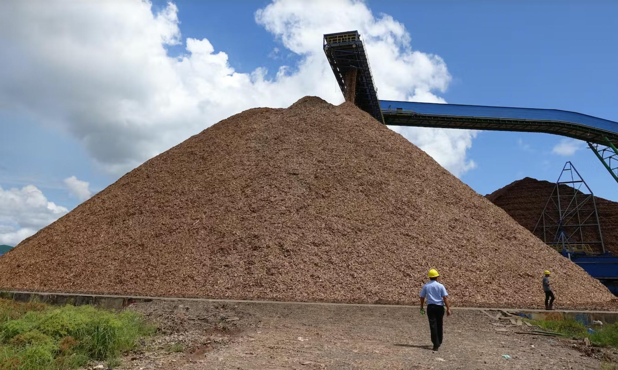 A wood chip mountain at APP's Ogan Komering Ilir (OKI) mill in South Sumatra.
