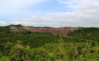 A deforested area to give way to a palm oil plantation.