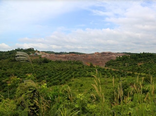 A deforested area to give way to a palm oil plantation.