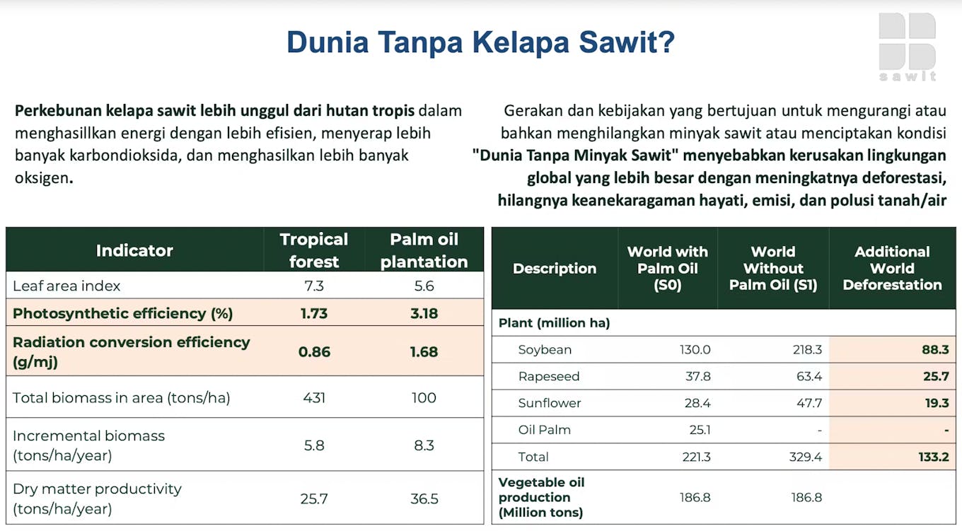 A slide presented by the Indonesian government’s palm oil agency