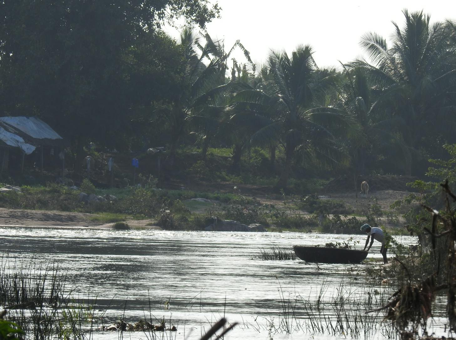 Fisherman work the Bhavani river in Tamil Nadhu.