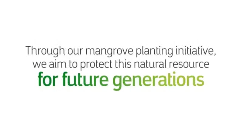 Saudi Aramco's mangrove planting promotion. Image: Saudi Aramco on LinkedIn