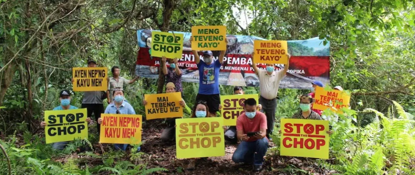 'Stop the chop': Demonstrators rally against deforestation in Sarawak, Malaysia