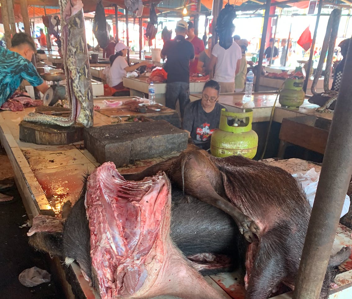 Wildboar for sale at Pasar Ex