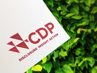 CDP business card with leafy backdrop