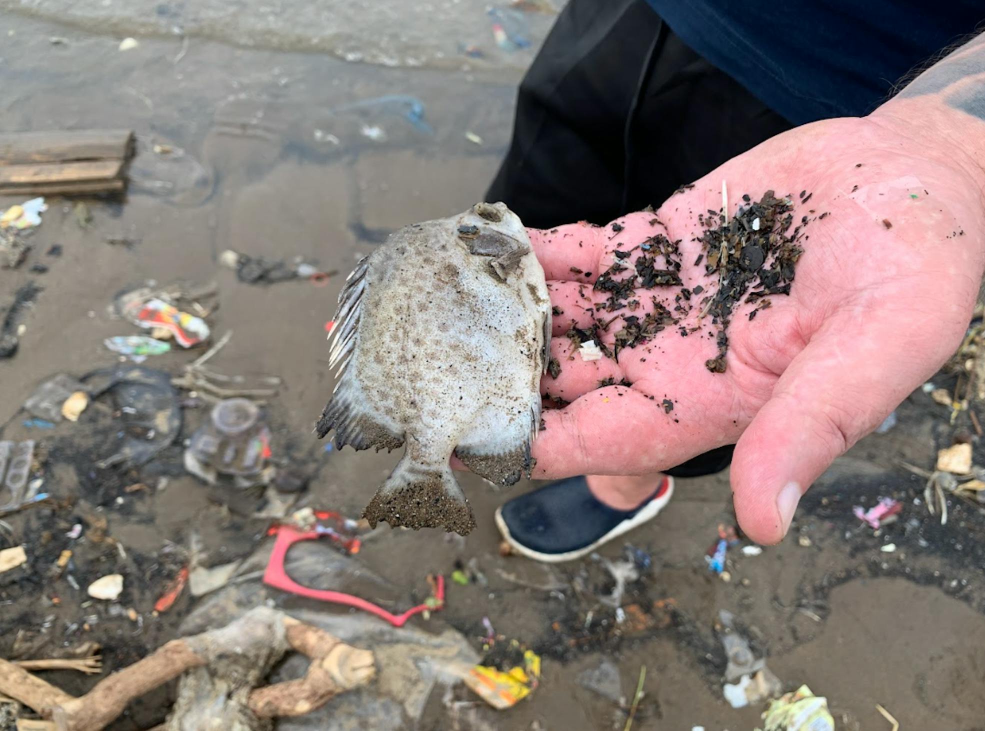 A beach in north Jakarta, Indonesia, devastated by plastic pollution.