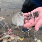 A beach in north Jakarta, Indonesia, devastated by plastic pollution.