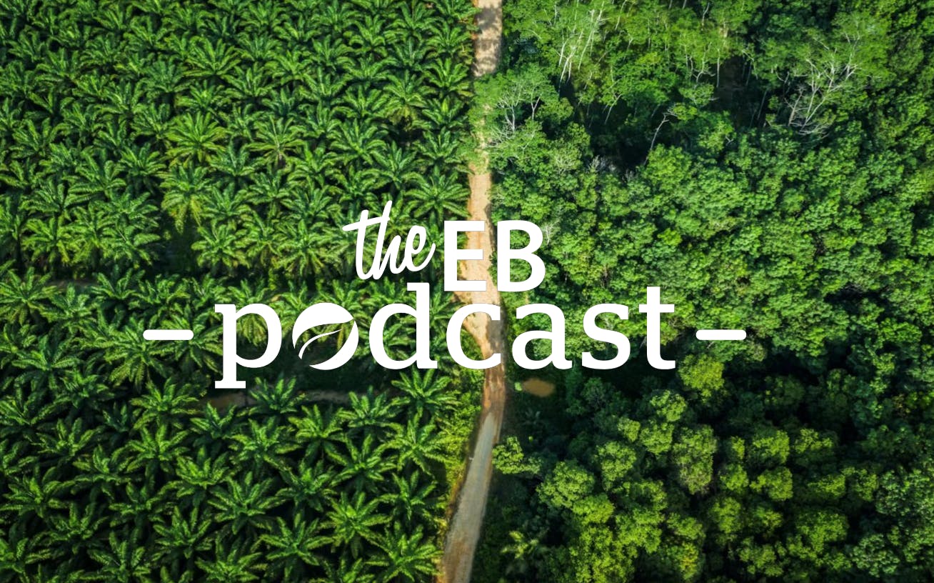 Podcast on RSPO's new principles and criteria for certifying palm oil as environmentally and socially sustainable.