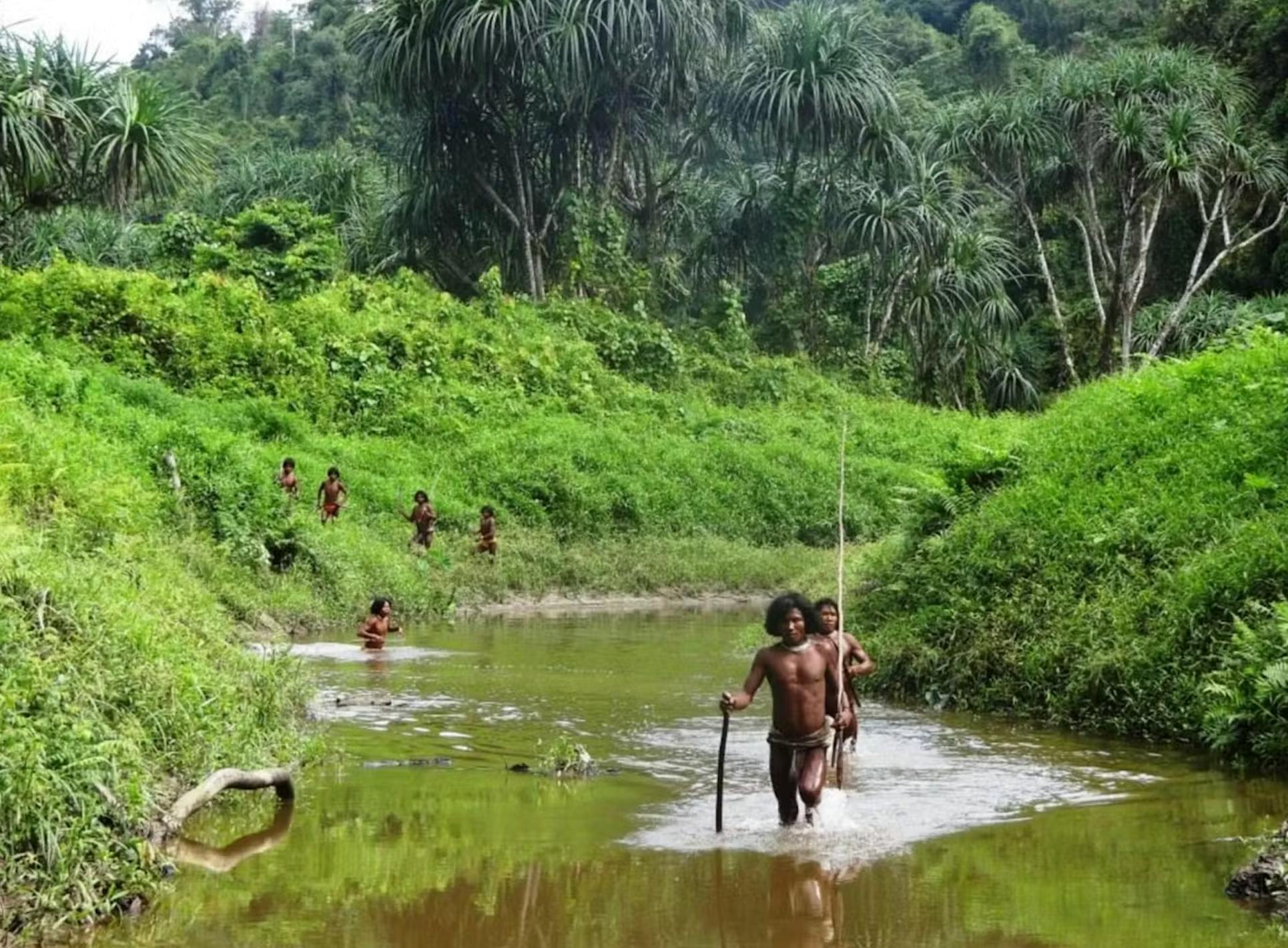 Shompen men move through the forest on Great Nicobar Island