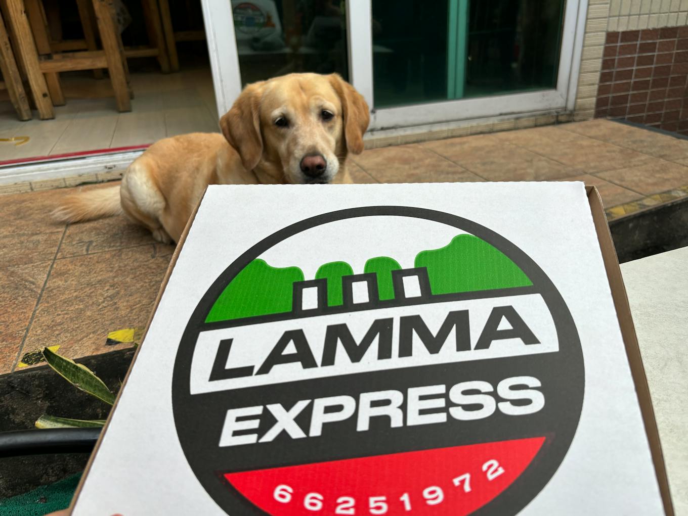Lamma Express pizza box
