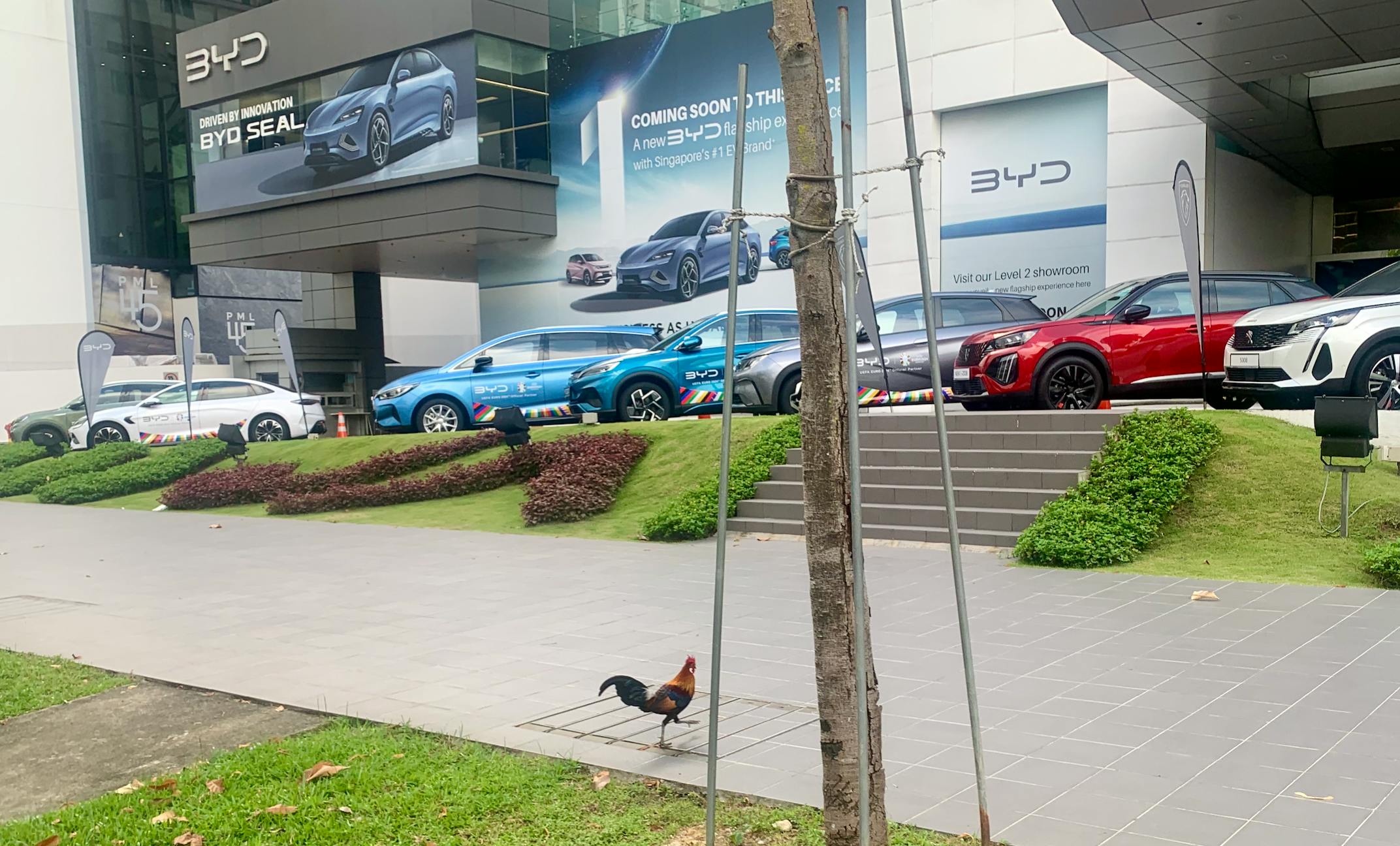 A BYD showroom in Singapore