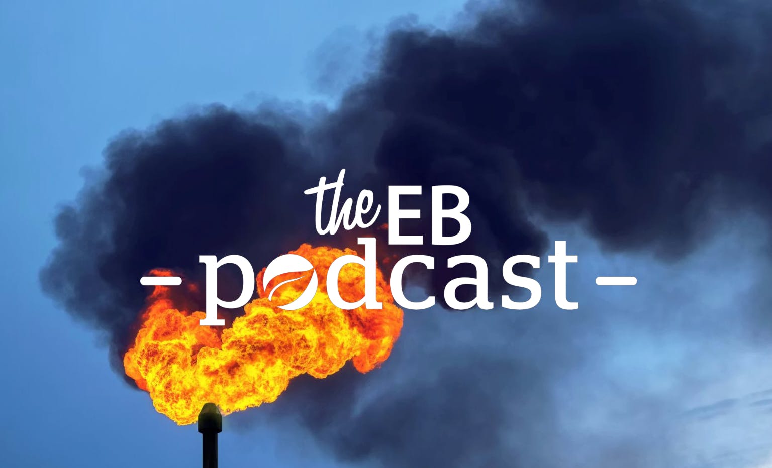 'Regulation, measurement needed to curb methane emissions': Experts on abating potent greenhouse gas