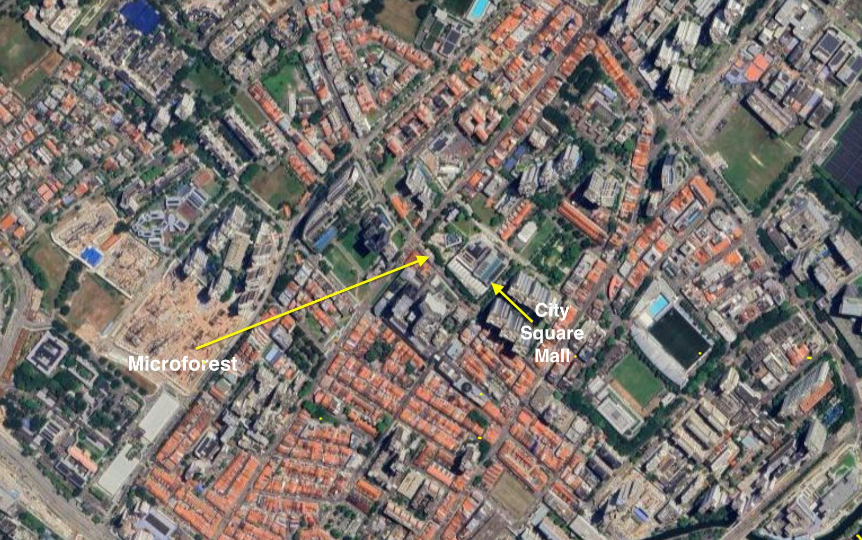 City Square Mall microforest as seen via satellite